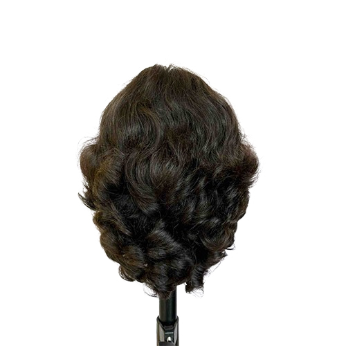 10inch Double Drawn Wig - Color: Black