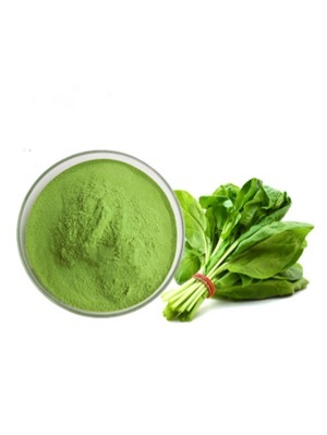 Spinach juice powder