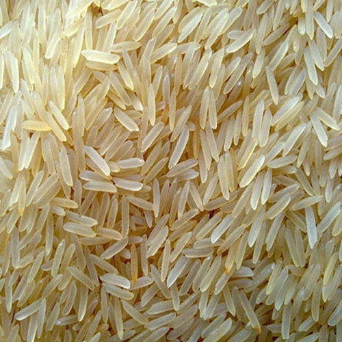 Pr14 Non Basmati Rice - Cultivation Type: Common