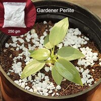 Paradise Perlite For Hydroponics & Horticulture Soil Conditioner (250 Gm) - Application: As Per Product Requirement