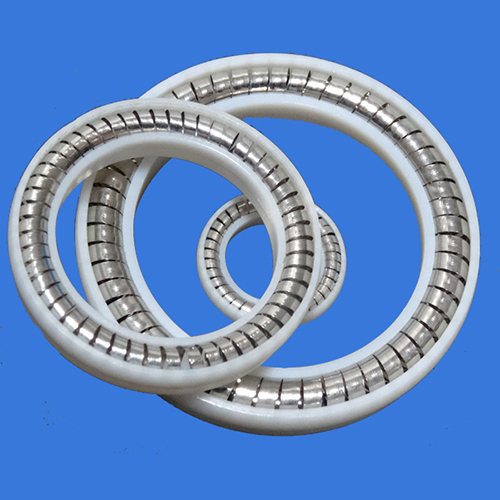 High Grade Spring Energized Lip Seal