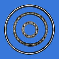 Ptfe Energized Lip Seal - Shape: Round