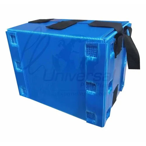 Plastic Corrugated Box