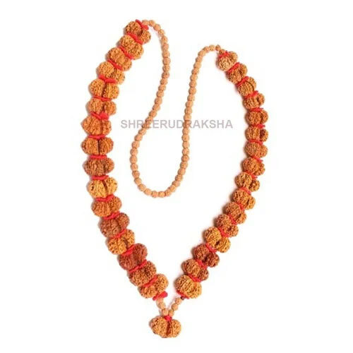 Gaurishanker Nepali Rudraksha Khantha - Occasion: Casual