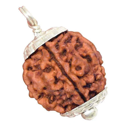 1 Mukhi Nepali Rudraksha Pendant - Occasion: Casual