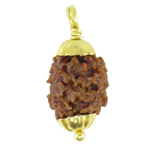 2 Mukhi Himalayan Golden Metal Cap Rudraksha - Occasion: Casual