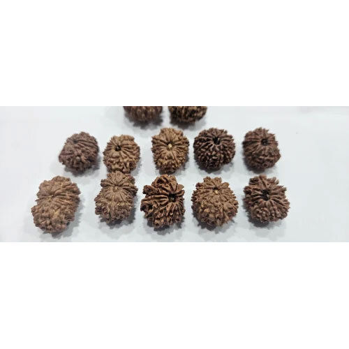 13 Mukhi Rudraksha Lot - Occasion: Casual