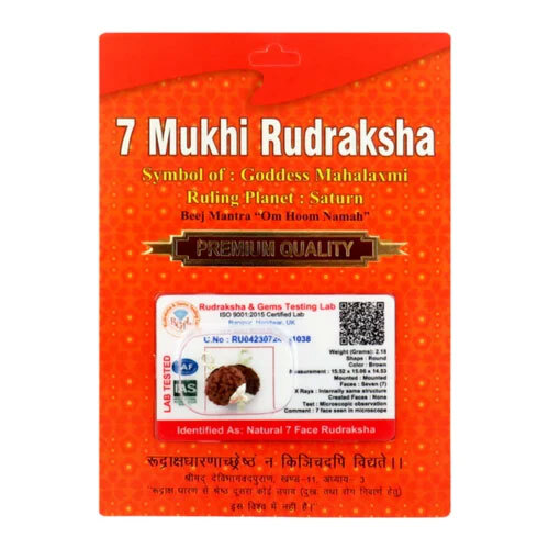 7 Mukhi Nepali Rudraksha - Occasion: Casual