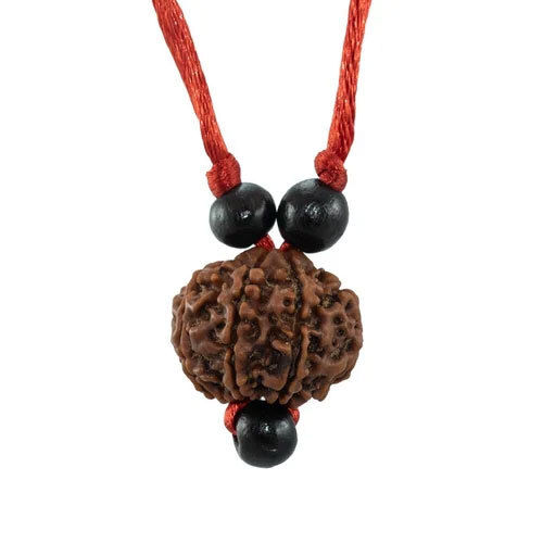 7 Mukhi Nepali Rudraksha - Occasion: Casual