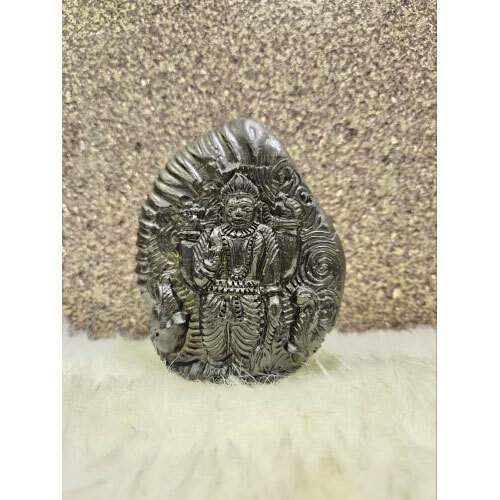 Gaj Vishnu Ji Shaligram Idol - Feature: Rust Proof