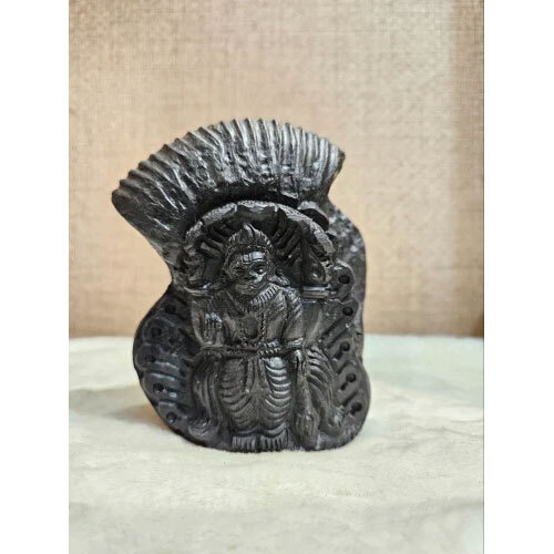 Narasimha Ji Idol , Sudarshan Shaligram