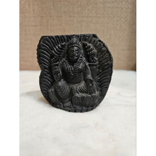 Annapurna Devi Idol ,Sudarshan Shaligram