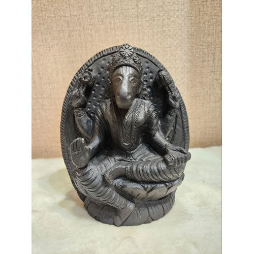 Lord Varaha Shaligram Idol - Feature: Antibacterial