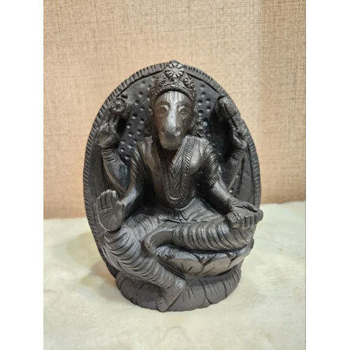 Lord Varaha Shaligram Idol