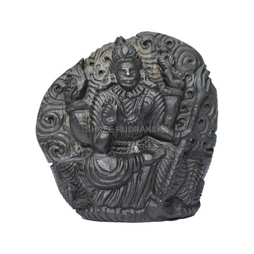 Hindu Religious Laxmi Narayana On Sudarshan Shaligram Idol