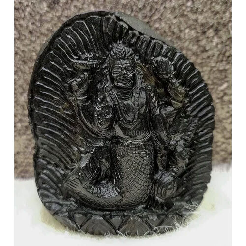 Matsya Avatar On Sudarshan Shaligram Idol