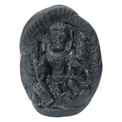 Narsimha Laxmi Ji ,Sudarshan Shaligram Idol - Feature: Rust Proof