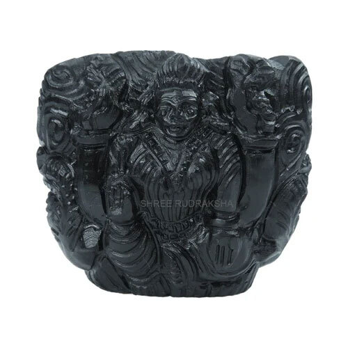 Goddess Laxmi Ji On Laxmi Narayana Shaligram