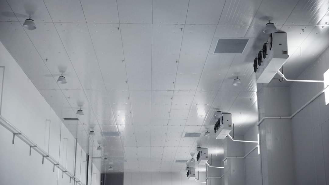 Cold Room