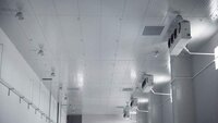 Cold Room