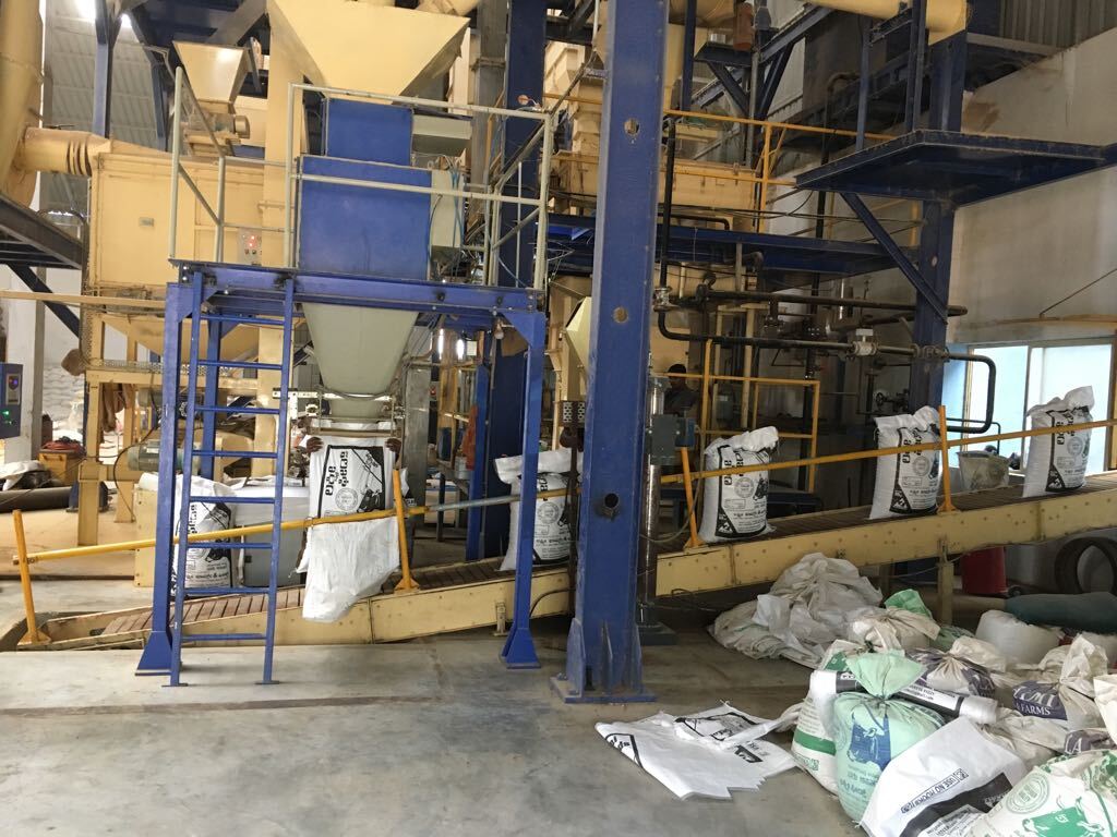 Gravity Feeder Type Bag Filling Machine - Electric Drive, Automatic Grade , Highly Efficient, Durable, Rust Proof, Human Machine Interface, 1 Year Warranty, Blue Color
