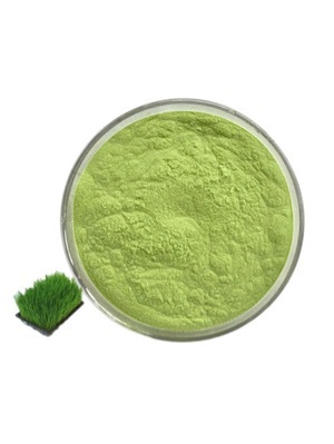 Wheat Seedling Juice Powder