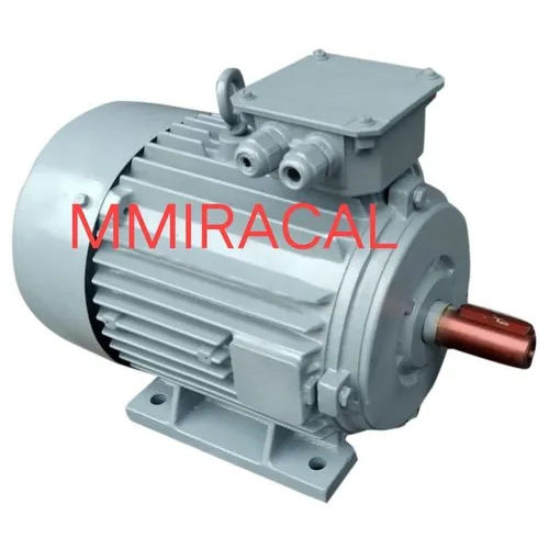 Three Phase Two Speed Motor