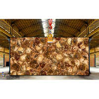 Brown Petrified Wood Slab - Natural Stone Type: Marble