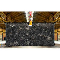 Black Petrified Wood Slab - Natural Stone Type: Marble