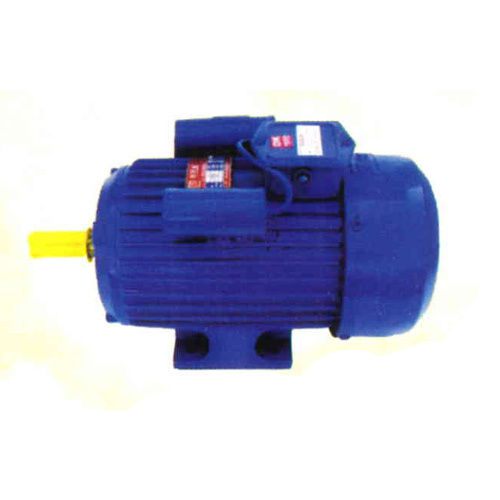 BI-3-C 3 HP Induction Electric Motor