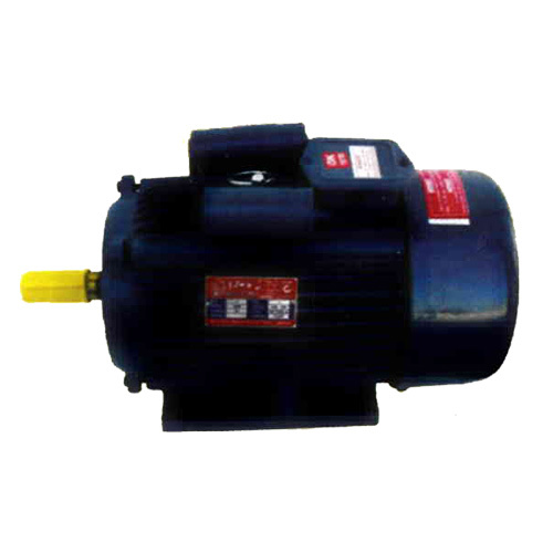 BI-3-CN 3 HP Induction Electric Motor