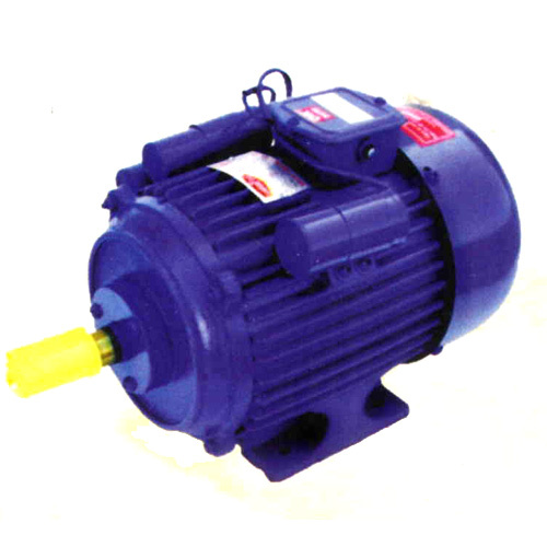 BI-3-CH 3 HP Heavy Induction Electric Motor