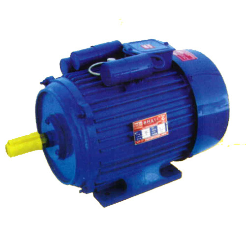 Bi-3-Spl-Ci Special Induction Electric Motor