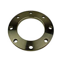 Monel Flanges - Grade: Industrial