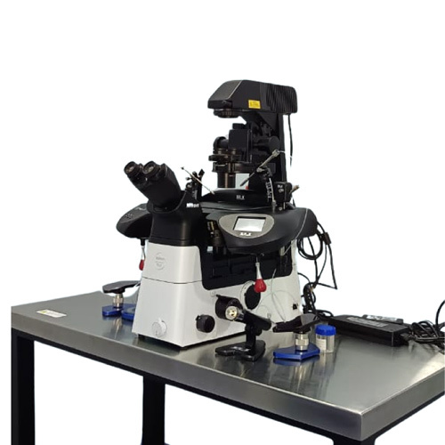 Inverted Microscope - Dimension (L*W*H): 300 Mm X 120 Mm Millimeter (Mm)