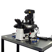 Inverted Microscope - Dimension (l*w*h): 300 Mm X 120 Mm Millimeter (mm)