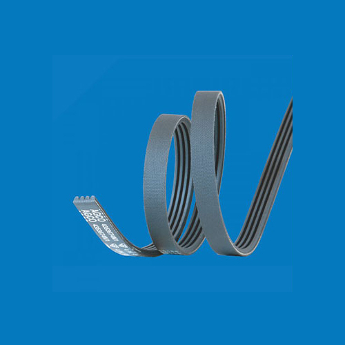 Poly V Belt