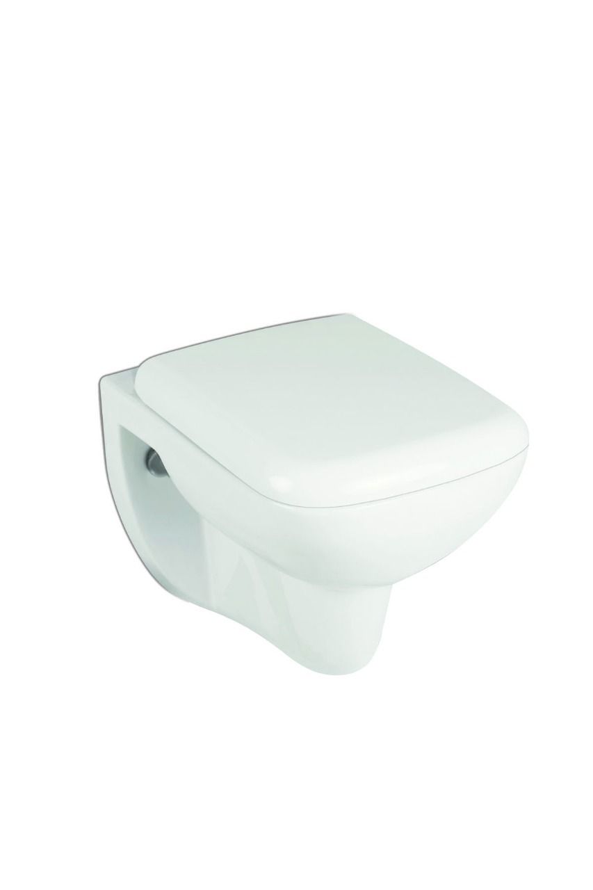 wall hung toilet