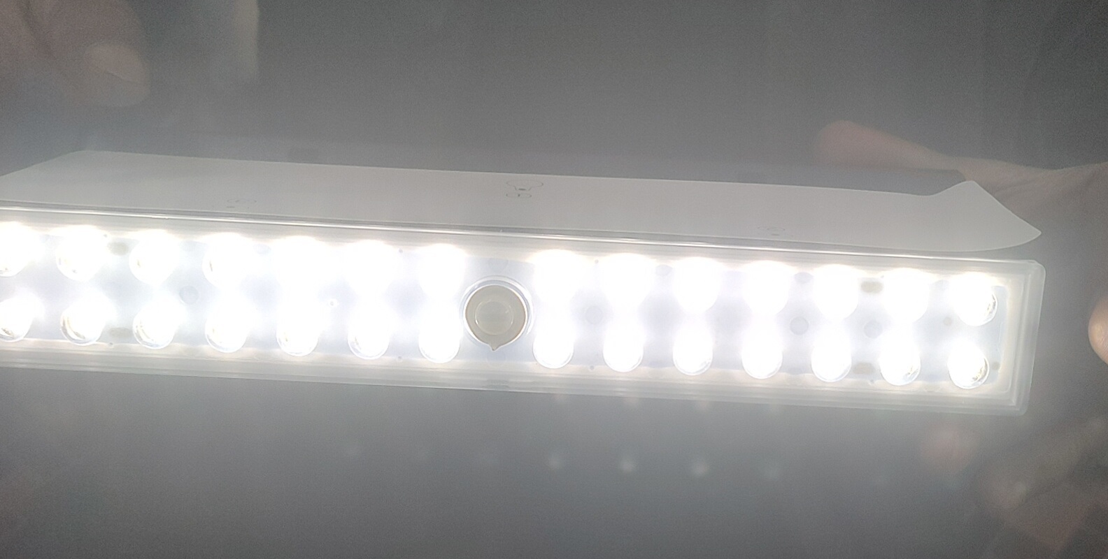 Solar Decorating Light - Application: Commercial