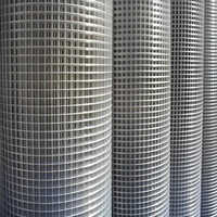 Galvanized Iron Wire Mesh