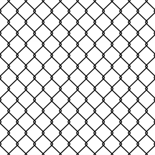 Steel Wire Mesh