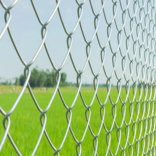 GI Chain Link Mesh Fence