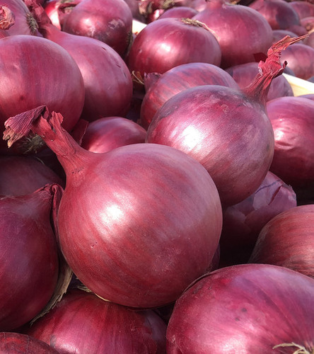 Red and Yellow Onions