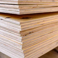Commercial Wooden Plywood