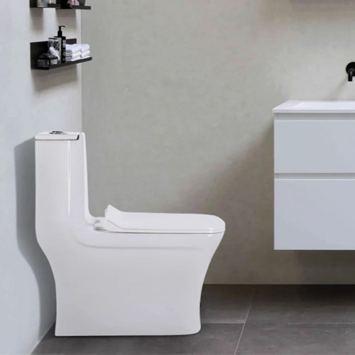 Floor Mounted Toilet