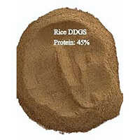 Rice Ddgs