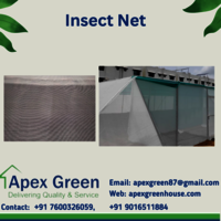 Anti Insect Net