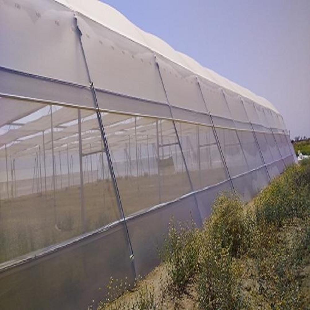 Anti Insect Net - Durable Polyester Fabric, Fine Mesh Design For Maximum Protection Against Pests