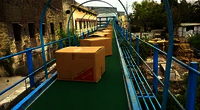 Advance Technology Conveyor Machine - Color: Green