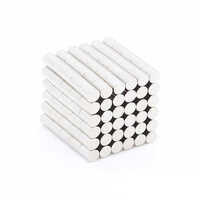 3 X 5mm Neodymium Cylinder Magnets - Color: Silver